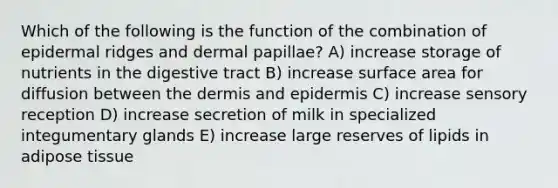 Which of the following is the function of the combination of epidermal ridges and dermal papillae? A) increase storage of nutrients in the digestive tract B) increase surface area for diffusion between the dermis and epidermis C) increase sensory reception D) increase secretion of milk in specialized integumentary glands E) increase large reserves of lipids in adipose tissue