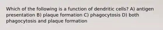 Which of the following is a function of dendritic cells? A) antigen presentation B) plaque formation C) phagocytosis D) both phagocytosis and plaque formation