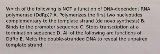 Which of the following is NOT a function of DNA-dependent RNA polymerase (DdRp)? A. Polymerizes the first two nucleotides complementary to the template strand (de novo synthesis) B. Binds to the promoter sequence C. Stops transcription at a termination sequence D. All of the following are functions of DdRp E. Melts the double-stranded DNA to reveal the unpaired template strand