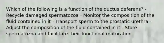 Which of the following is a function of the ductus deferens? - Recycle damaged spermatozoa - Monitor the composition of the fluid contained in it - Transport sperm to the prostatic urethra - Adjust the composition of the fluid contained in it - Store spermatozoa and facilitate their functional maturation