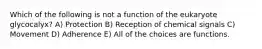 Which of the following is not a function of the eukaryote glycocalyx? A) Protection B) Reception of chemical signals C) Movement D) Adherence E) All of the choices are functions.