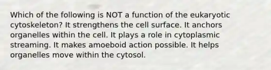 Which of the following is NOT a function of the eukaryotic cytoskeleton? It strengthens the cell surface. It anchors organelles within the cell. It plays a role in cytoplasmic streaming. It makes amoeboid action possible. It helps organelles move within the cytosol.