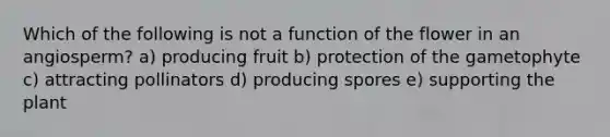 Which of the following is not a function of the flower in an angiosperm? a) producing fruit b) protection of the gametophyte c) attracting pollinators d) producing spores e) supporting the plant