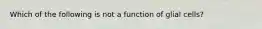 Which of the following is not a function of glial cells?