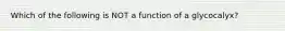 Which of the following is NOT a function of a glycocalyx?