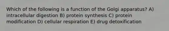 Which of the following is a function of the Golgi apparatus? A) intracellular digestion B) protein synthesis C) protein modification D) cellular respiration E) drug detoxification