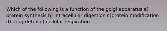 Which of the following is a function of the golgi apparatus a) protein synthesis b) intracellular digestion c)protein modification d) drug detox e) cellular respiration