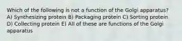 Which of the following is not a function of the Golgi apparatus? A) Synthesizing protein B) Packaging protein C) Sorting protein D) Collecting protein E) All of these are functions of the Golgi apparatus