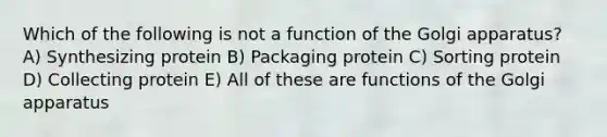 Which of the following is not a function of the Golgi apparatus? A) Synthesizing protein B) Packaging protein C) Sorting protein D) Collecting protein E) All of these are functions of the Golgi apparatus