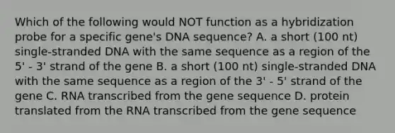 Which of the following would NOT function as a hybridization probe for a specific gene's DNA sequence? A. a short (100 nt) single-stranded DNA with the same sequence as a region of the 5' - 3' strand of the gene B. a short (100 nt) single-stranded DNA with the same sequence as a region of the 3' - 5' strand of the gene C. RNA transcribed from the gene sequence D. protein translated from the RNA transcribed from the gene sequence