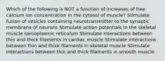 Which of the following is NOT a function of increases of free calcium ion concentration in the cytosol of muscle? Stimulate fusion of vesicles containing neurotransmitter to the synaptic membrane of neurons Stimulate action potentials in the skeletal muscle sarcoplasmic reticulum Stimulate interactions between thin and thick filaments in cardiac muscle Stimulate interactions between thin and thick filaments in skeletal muscle Stimulate interactions between thin and thick filaments in smooth muscle