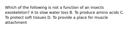 Which of the following is not a function of an insects exoskeleton? A to slow water loss B. To produce amino acids C. To protect soft tissues D. To provide a place for muscle attachment