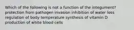 Which of the following is not a function of the integument? protection from pathogen invasion inhibition of water loss regulation of body temperature synthesis of vitamin D production of white blood cells