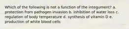 Which of the following is not a function of the integument? a. protection from pathogen invasion b. inhibition of water loss c. regulation of body temperature d. synthesis of vitamin D e. production of white blood cells