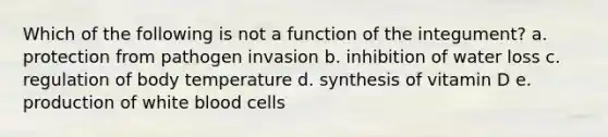 Which of the following is not a function of the integument? a. protection from pathogen invasion b. inhibition of water loss c. regulation of body temperature d. synthesis of vitamin D e. production of white blood cells