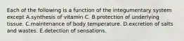 Each of the following is a function of the integumentary system except A.synthesis of vitamin C. B.protection of underlying tissue. C.maintenance of body temperature. D.excretion of salts and wastes. E.detection of sensations.