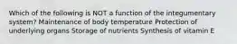 Which of the following is NOT a function of the integumentary system? Maintenance of body temperature Protection of underlying organs Storage of nutrients Synthesis of vitamin E