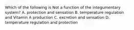 Which of the following is Not a function of the integumentary system? A. protection and sensation B. temperature regulation and Vitamin A production C. excretion and sensation D. temperature regulation and protection