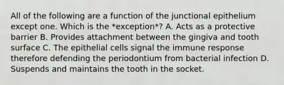 All of the following are a function of the junctional epithelium except one. Which is the *exception*? A. Acts as a protective barrier B. Provides attachment between the gingiva and tooth surface C. The epithelial cells signal the immune response therefore defending the periodontium from bacterial infection D. Suspends and maintains the tooth in the socket.