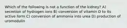 Which of the following is not a function of the kidney? A) secretion of hydrogen ions B) conversion of vitamin D to its active form C) conversion of ammonia into urea D) production of uromodulin