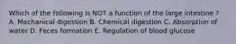 Which of the following is NOT a function of the large intestine ? A. Mechanical digestion B. Chemical digestion C. Absorption of water D. Feces formation E. Regulation of blood glucose