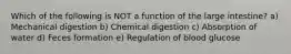 Which of the following is NOT a function of the large intestine? a) Mechanical digestion b) Chemical digestion c) Absorption of water d) Feces formation e) Regulation of blood glucose