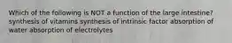 Which of the following is NOT a function of the large intestine? synthesis of vitamins synthesis of intrinsic factor absorption of water absorption of electrolytes