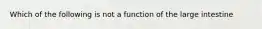 Which of the following is not a function of the large intestine