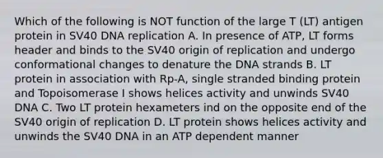 Which of the following is NOT function of the large T (LT) antigen protein in SV40 DNA replication A. In presence of ATP, LT forms header and binds to the SV40 origin of replication and undergo conformational changes to denature the DNA strands B. LT protein in association with Rp-A, single stranded binding protein and Topoisomerase I shows helices activity and unwinds SV40 DNA C. Two LT protein hexameters ind on the opposite end of the SV40 origin of replication D. LT protein shows helices activity and unwinds the SV40 DNA in an ATP dependent manner