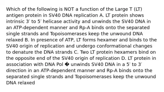 Which of the following is NOT a function of the Large T (LT) antigen protein in SV40 DNA replication A. LT protein shows intrinsic 3′ to 5′ helicase activity and unwinds the SV40 DNA in an ATP-dependent manner and Rp-A binds onto the separated single strands and Topoisomerases keep the unwound DNA relaxed B. In presence of ATP, LT forms hexamer and binds to the SV40 origin of replication and undergo conformational changes to denature the DNA strands C. Two LT protein hexamers bind on the opposite end of the SV40 origin of replication D. LT protein in association with DNA Pol � unwinds SV40 DNA in a 5′ to 3′ direction in an ATP-dependent manner and Rp-A binds onto the separated single strands and Topoisomerases keep the unwound DNA relaxed