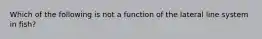 Which of the following is not a function of the lateral line system in fish?