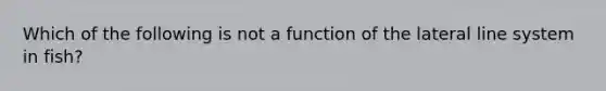 Which of the following is not a function of the lateral line system in fish?