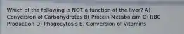 Which of the following is NOT a function of the liver? A) Conversion of Carbohydrates B) Protein Metabolism C) RBC Production D) Phagocytosis E) Conversion of Vitamins