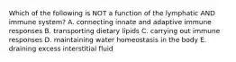 Which of the following is NOT a function of the lymphatic AND immune system? A. connecting innate and adaptive immune responses B. transporting dietary lipids C. carrying out immune responses D. maintaining water homeostasis in the body E. draining excess interstitial fluid