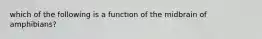 which of the following is a function of the midbrain of amphibians?