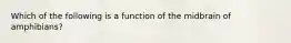 Which of the following is a function of the midbrain of amphibians?