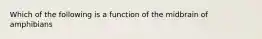 Which of the following is a function of the midbrain of amphibians