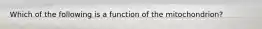 Which of the following is a function of the mitochondrion?