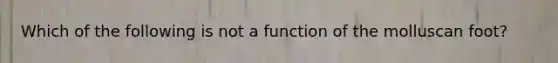 Which of the following is not a function of the molluscan foot?