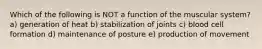 Which of the following is NOT a function of the muscular system? a) generation of heat b) stabilization of joints c) blood cell formation d) maintenance of posture e) production of movement