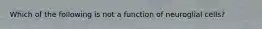 Which of the following is not a function of neuroglial cells?