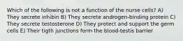 Which of the following is not a function of the nurse cells? A) They secrete inhibin B) They secrete androgen-binding protein C) They secrete testosterone D) They protect and support the germ cells E) Their tigth junctions form the blood-testis barrier