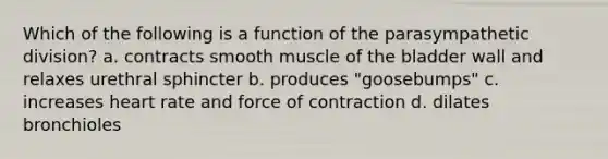 Which of the following is a function of the parasympathetic division? a. contracts smooth muscle of the bladder wall and relaxes urethral sphincter b. produces "goosebumps" c. increases heart rate and force of contraction d. dilates bronchioles