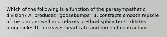 Which of the following is a function of the parasympathetic division? A. produces "goosebumps" B. contracts smooth muscle of the bladder wall and relaxes urethral sphincter C. dilates bronchioles D. increases heart rate and force of contraction