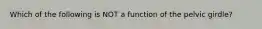 Which of the following is NOT a function of the pelvic girdle?