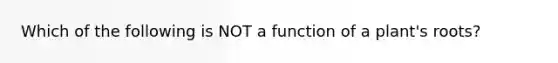 Which of the following is NOT a function of a plant's roots?