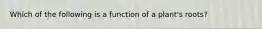 Which of the following is a function of a plant's roots?