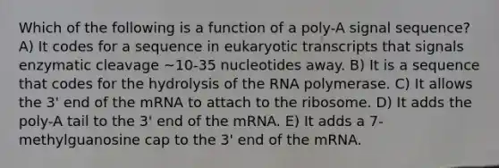 Which of the following is a function of a poly-A signal sequence? A) It codes for a sequence in eukaryotic transcripts that signals enzymatic cleavage ~10-35 nucleotides away. B) It is a sequence that codes for the hydrolysis of the RNA polymerase. C) It allows the 3' end of the mRNA to attach to the ribosome. D) It adds the poly-A tail to the 3' end of the mRNA. E) It adds a 7-methylguanosine cap to the 3' end of the mRNA.