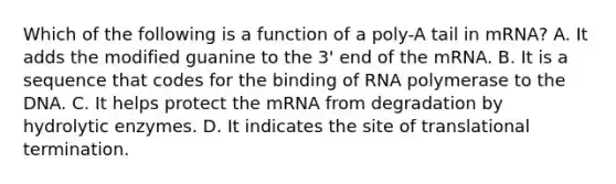 Which of the following is a function of a poly-A tail in mRNA? A. It adds the modified guanine to the 3' end of the mRNA. B. It is a sequence that codes for the binding of RNA polymerase to the DNA. C. It helps protect the mRNA from degradation by hydrolytic enzymes. D. It indicates the site of translational termination.