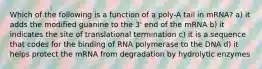 Which of the following is a function of a poly-A tail in mRNA? a) it adds the modified guanine to the 3' end of the mRNA b) it indicates the site of translational termination c) it is a sequence that codes for the binding of RNA polymerase to the DNA d) it helps protect the mRNA from degradation by hydrolytic enzymes